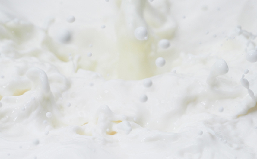 金のミルクの技術