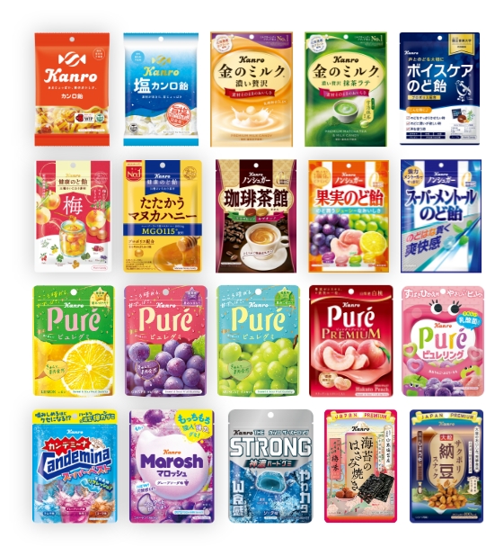 国内コア事業