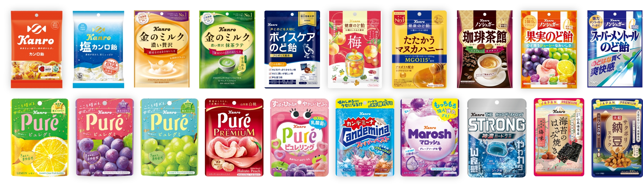 国内コア事業