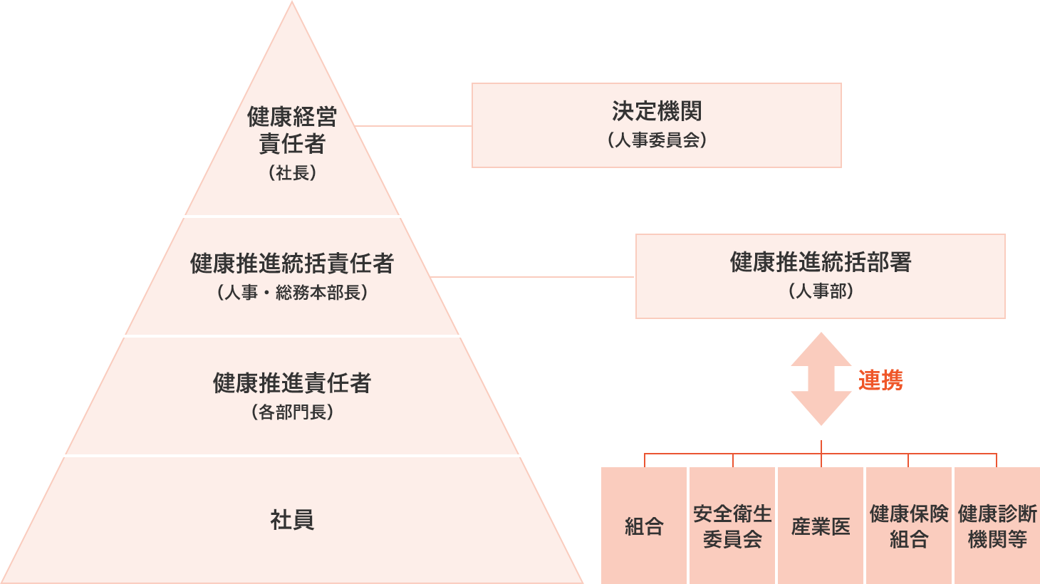 健康経営体制の図